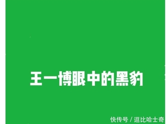 不懂就问，这满屏幕的豹，是王一博对其他塑的怨念实体化吗？