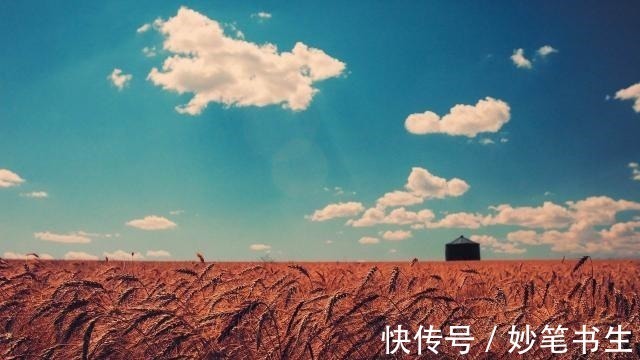 离别@今天才知道,“人生何处不相逢”出自一首唐诗,还是著名诗人所写