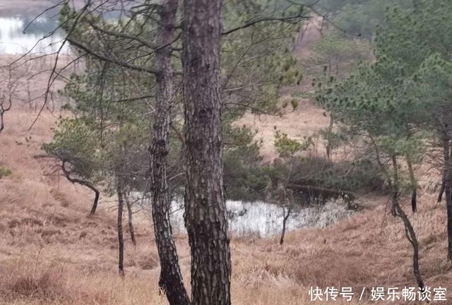 故乡山，家乡情