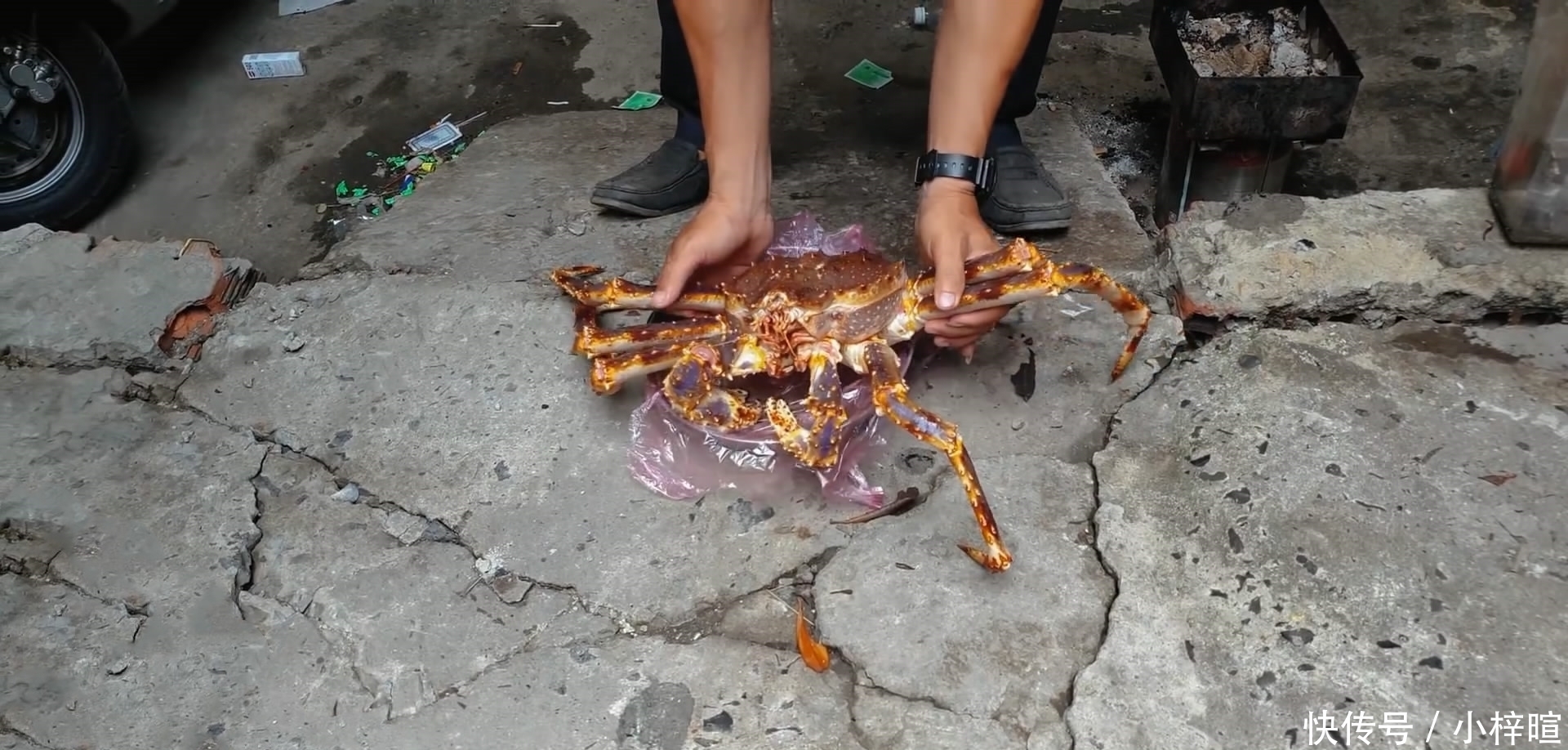 只帝王|花500元买了只4斤的帝王蟹，准备年夜饭吃，煮好掰开壳有点“懵”