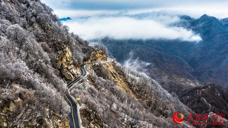 雪山|洛阳白云山：云海缥缈 雪山壮观