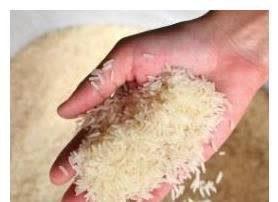 蒲公英根|糖尿病不要怕,这些天然“胰岛素”!早晚吃一些,平稳血糖不升高