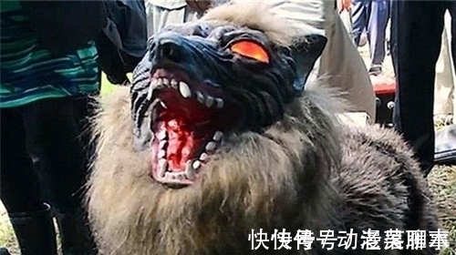 大和|海贼王1020话情报:大和是日本狼,尾田钦定山治为“海贼王双翼”