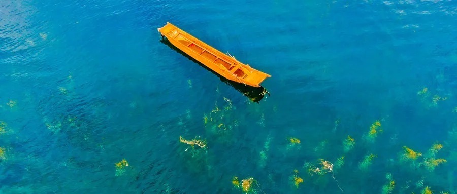 龙和虎&《增广贤文》精华48句,悟透人生有真知