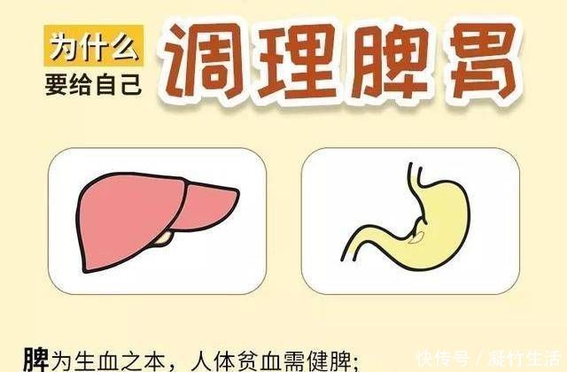 穴位|脾胃弱则正气虚;正气虚则病缠身4个穴位最养脾胃肾