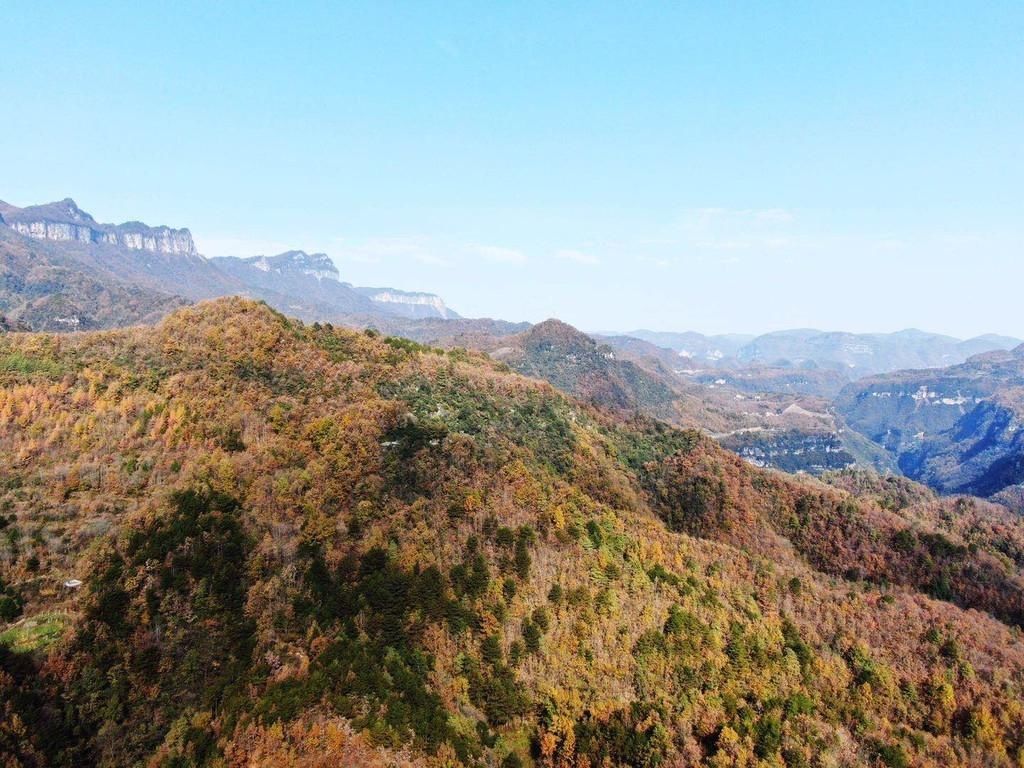  米仓山|四川的秋天有多美｜来广元旺苍看米仓山的红叶吧！