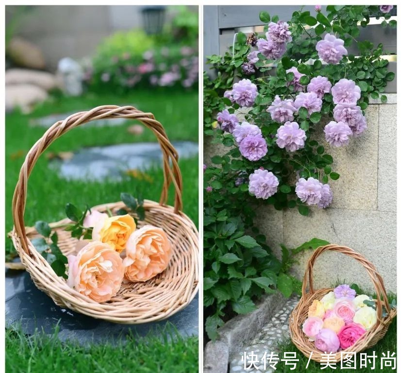 防腐木|为了这个45㎡小院子,坚持买了一楼,打造成花园后比别墅还好看