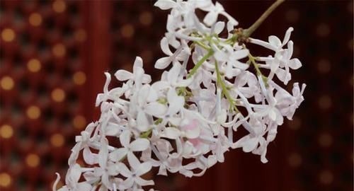 肝病|肝不好的人,记住多喝3水,少吃1物,肝病会悄悄溜走