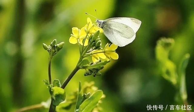 哇哦，最美赏花季来了！你有没有被徐州美到呢？