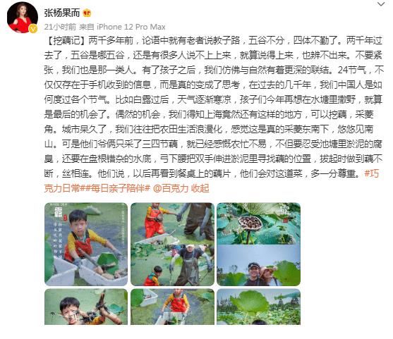 smg|上海主持百克力帶兒子下田挖藕！倆人滿臉淤泥依舊笑意滿滿