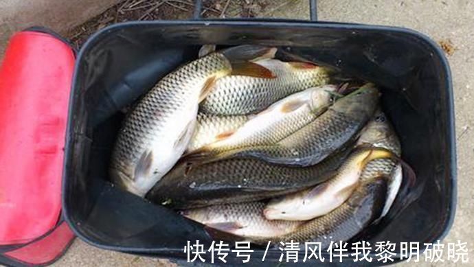 钓友|一顿饭换来的饵料配方,比老三样还好用,今天分享给钓友
