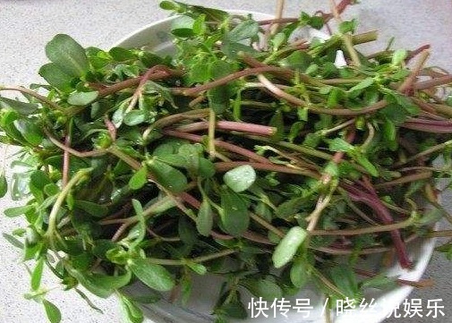 采摘|农村一种野菜，吃起来满口香，现在城里一斤卖二十多块