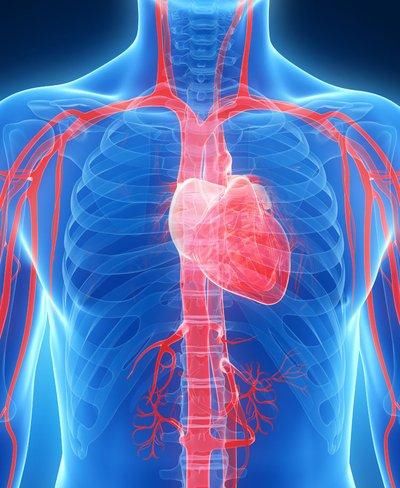 人别|血压高的人别害怕,记住这三个技巧,血压就会“乖乖听话”