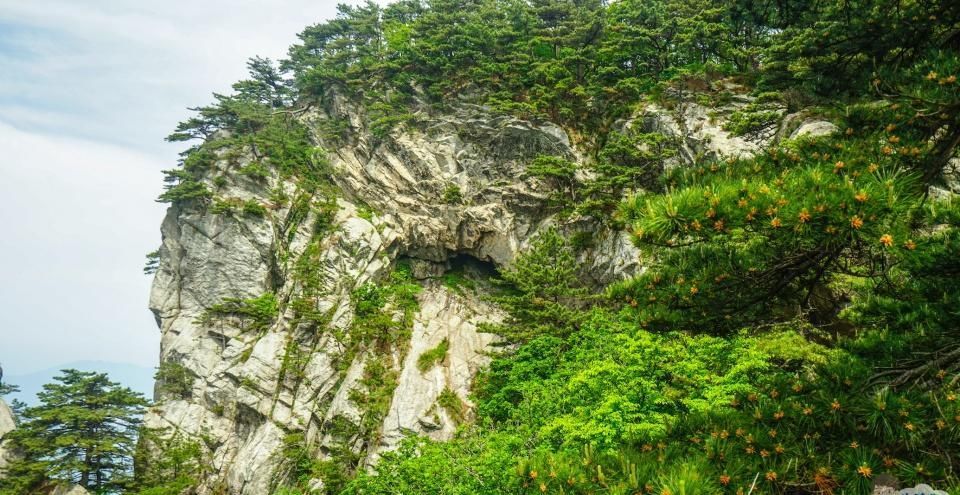 看奇峰怪石都是“三分像，七分想”，大别山腹地的天堂寨恰恰相反