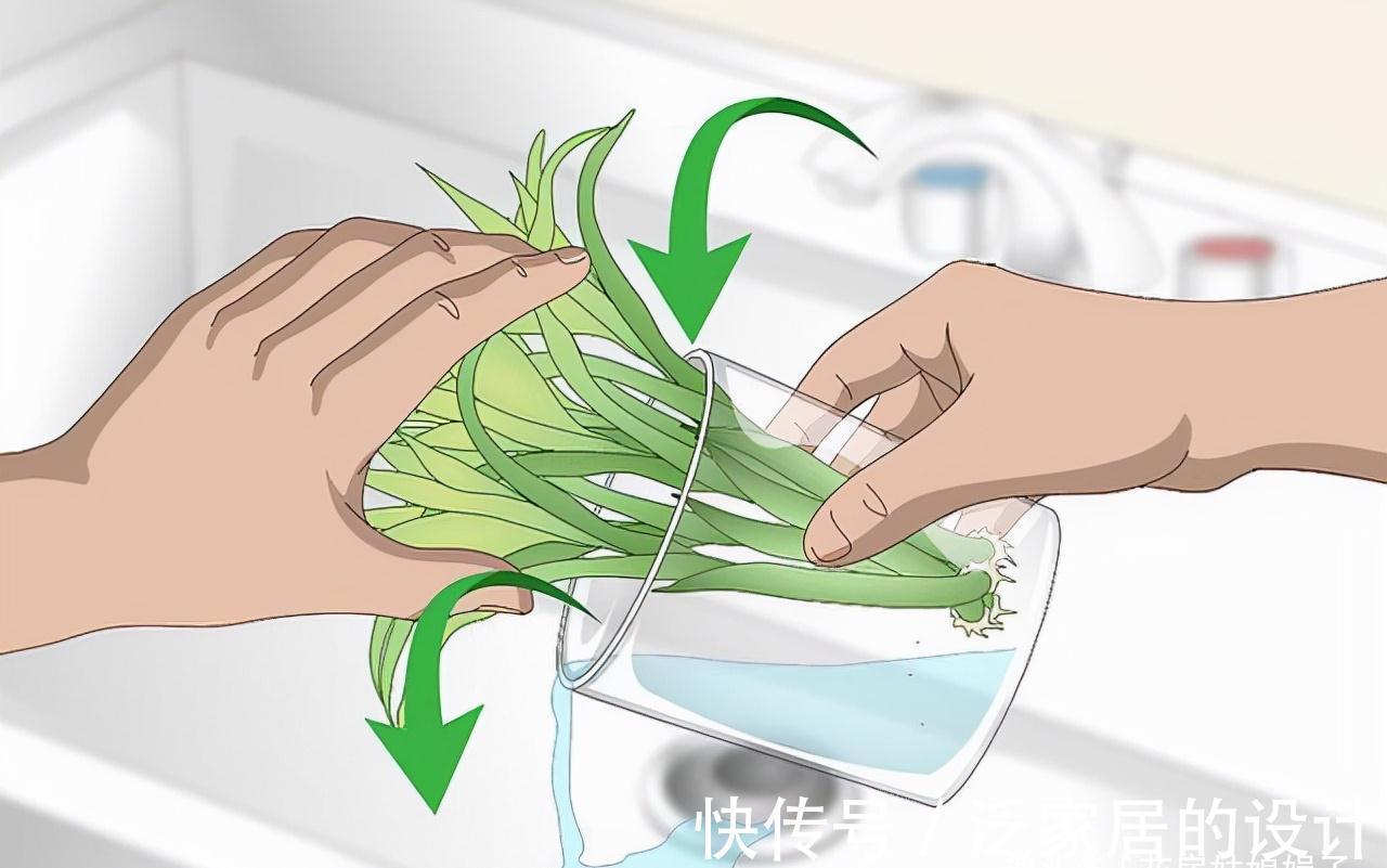 水培|富贵竹不用花钱买了,1根迅速变10根,这样扦插繁殖生长速度快