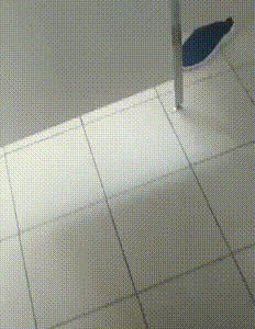 |搞笑GIF：女孩出门一定要注意 别被人偷走东西了都不知道