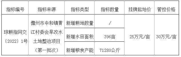 耕地|儋州挂牌出让一宗补充耕地 挂牌起始价25万元/亩