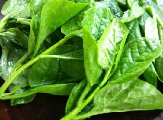 发育|怀孕妈妈,4种菜再好也别吃,对孩子的发育不好