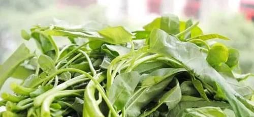 女性擔心老太快，常吃幾種食物，消腫利尿，化痰止咳，早知早好