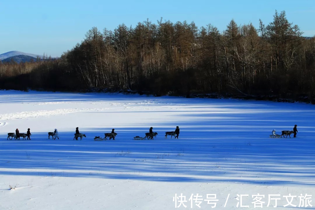 鄂温克人|与驯鹿为伴，隐居深山100年，中国最后的女酋长过得比芬兰更童话