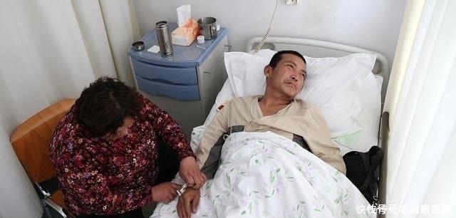 寒性|蒲公英，被称为“药草皇后”，谨记“五搭配、四禁忌”，别再犯错