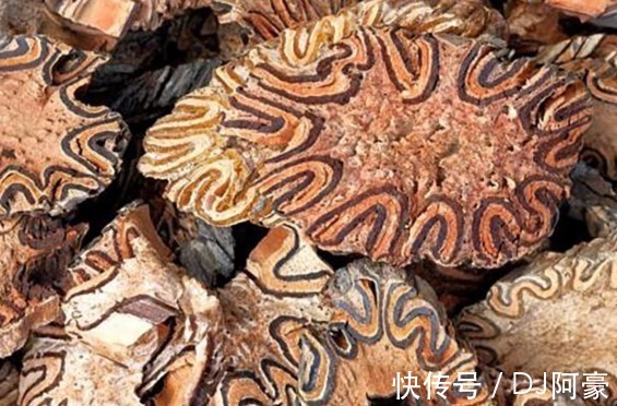 民间|此种野生物,现可遇不可求,在民间十分珍贵,值得被我们珍惜保存