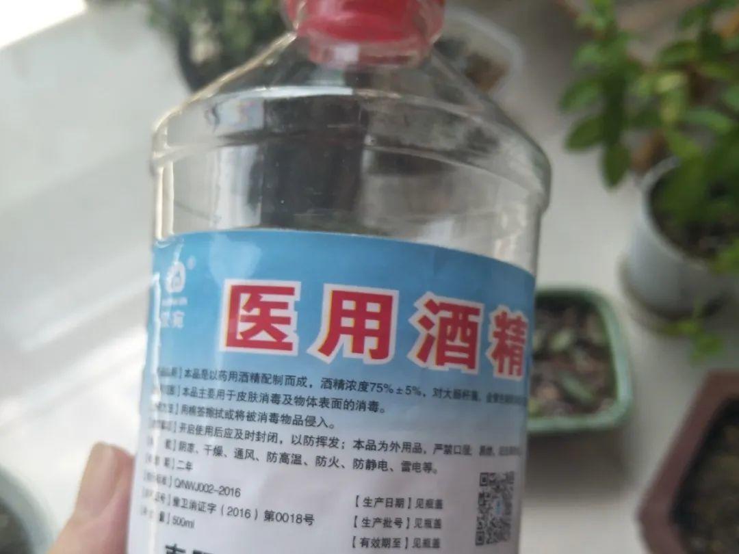 给花浇水要小心，5种水不能浇，浇完立马就黄叶！