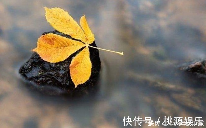 百岁老人|红薯、山药靠边站，它才是地下宝物！百岁老人都在用的长寿秘方！