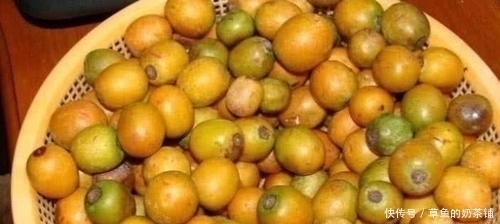 中国公认最难吃的6类水果,如果你全都吃过,请收下我的“膝盖”