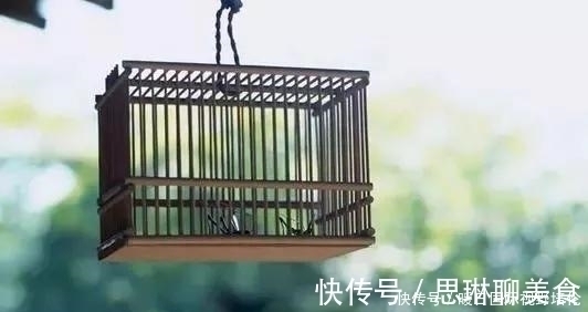 卡尔森&你难以抗拒的心理效应:鸟笼效应!看惯性思维如何将你的人生套牢