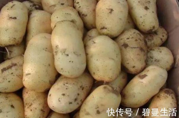 土豆|土豆被稱為“地下人參”，常吃好處多多，但有1大禁忌要注意