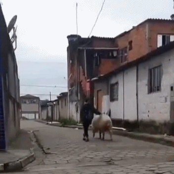 |搞笑GIF:这是谁家的闺女