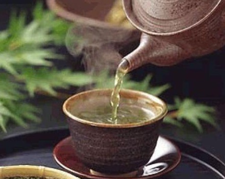 蟹爪兰常年不开花，不小心在盆里倒了“它”，花朵蹭蹭窜不停！