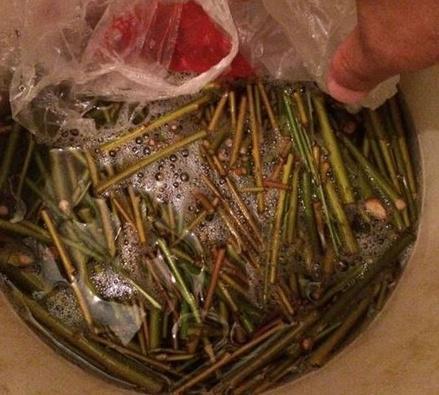 教你自制2种“生根水”,养花浇盆里,嗖嗖长爆盆,啥花都好用