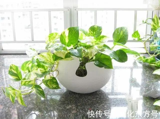装修|新房装修好不要急于入住,新房怎么去除甲醛?