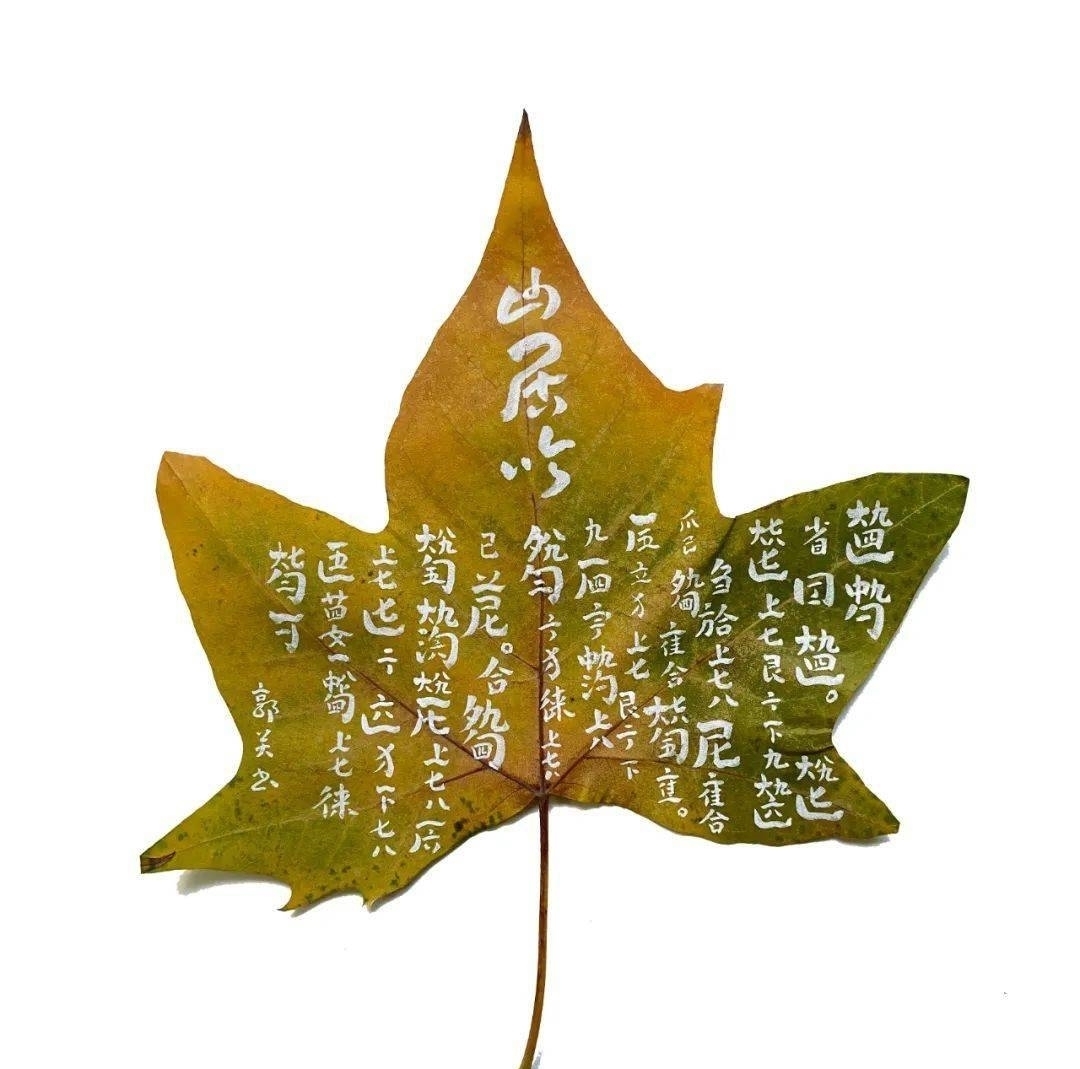 文人|文人琴与艺人琴