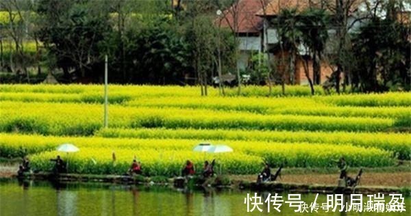 钓鱼人|钓鱼人,你“中毒”有多深?这些“症状”满足3条,一定是老司机