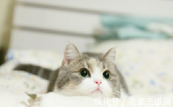 |幽默笑话:女老板和老公离婚了,整天在公司找大家的麻烦