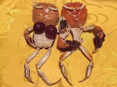 强壮|只要宝宝脾胃强壮,吃嘛嘛香,身高就能蹭蹭往上长