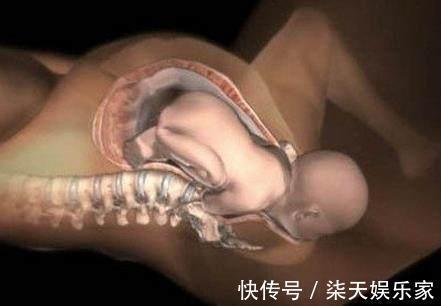 出生|胎儿出生前都在忙什么组图播放全过程,着急见爸妈的样子真可爱