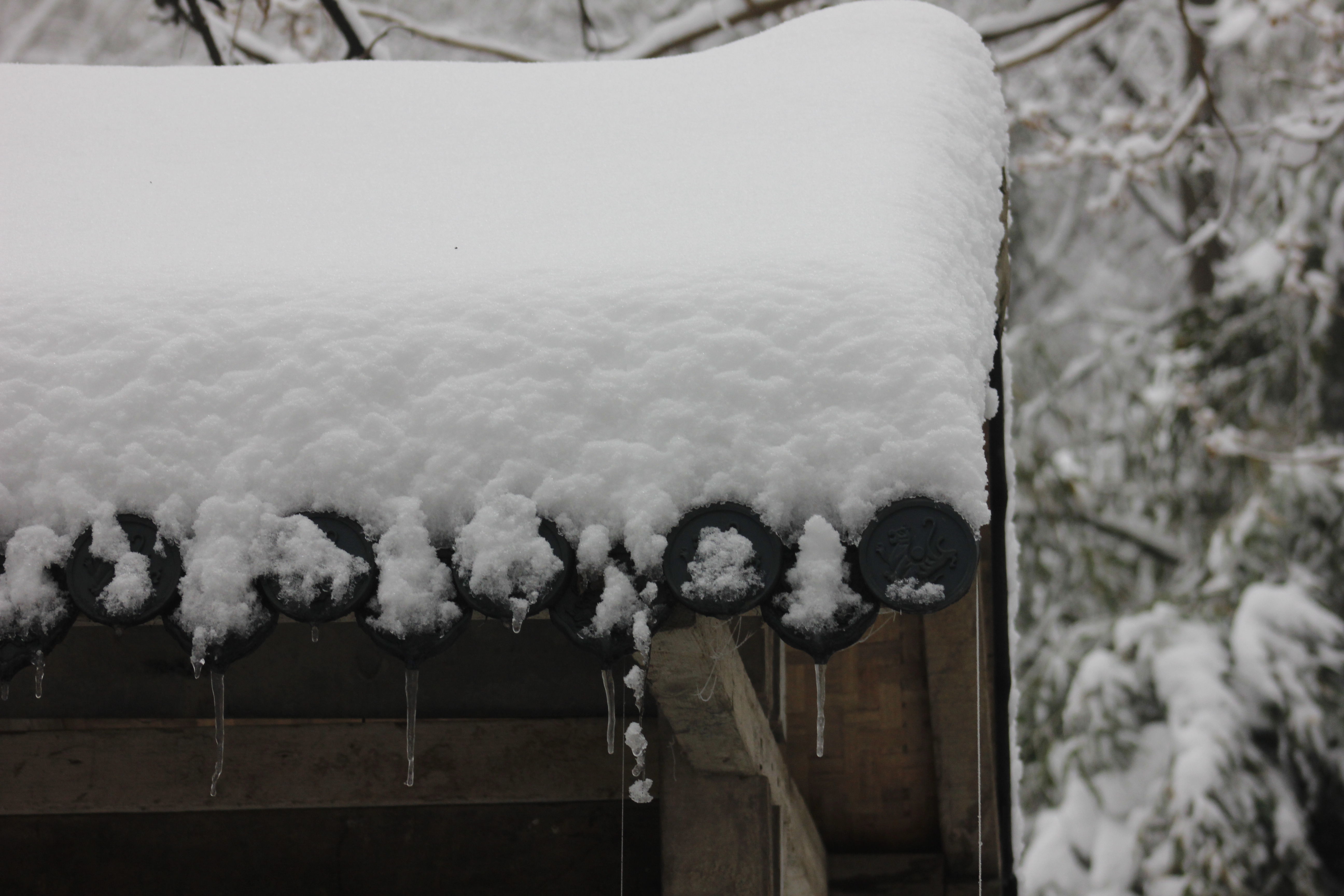 征集|【年末福利征集】雪后南五台幸遇云海