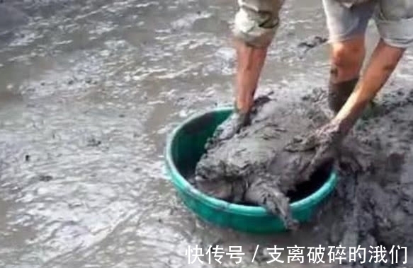 奇闻:大爷去鱼塘里摸鱼,被一个割到手,用力拔出后很意外