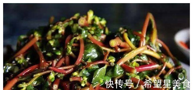 女性朋友|农村看到这种草,务必别“踩”,采点回去吃,杀菌消炎,女人多吃!