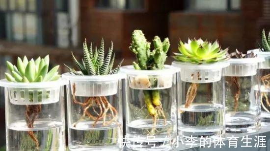 肉肉|要想成为一名合格的肉友,你还需要知道这些黑话