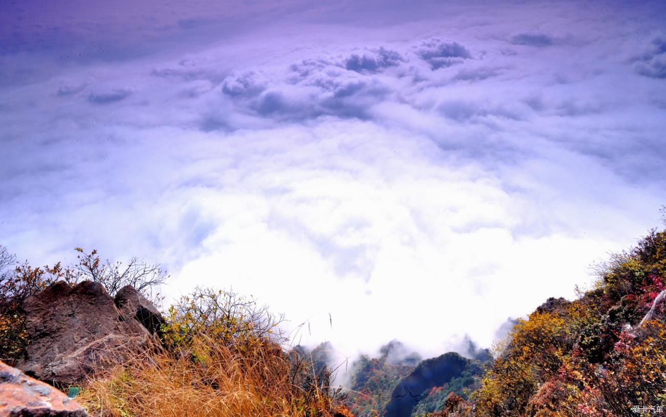 牛年逢春：云山林海領秀了大美峨眉山