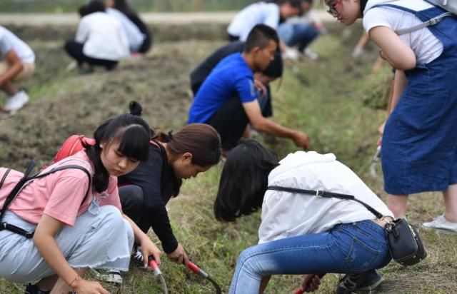 中国最接“地气”的大学，每个专业要干“农活”，否则就毕不了业