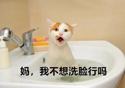 皮肤干、痒、泛红…敏感肌「攻略」，看这一篇就够了