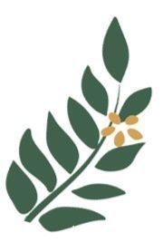 春季养生十五茶