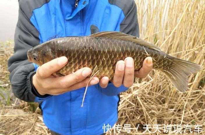 鱼口|冬钓想要好鱼获，其实真的有秘籍，学会四个勤，多冷都不怕没鱼口