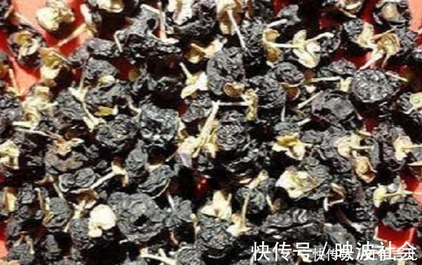 肾脏|农村罕见的野果,滋补肾脏不是一般的好,村民:不吃太亏了